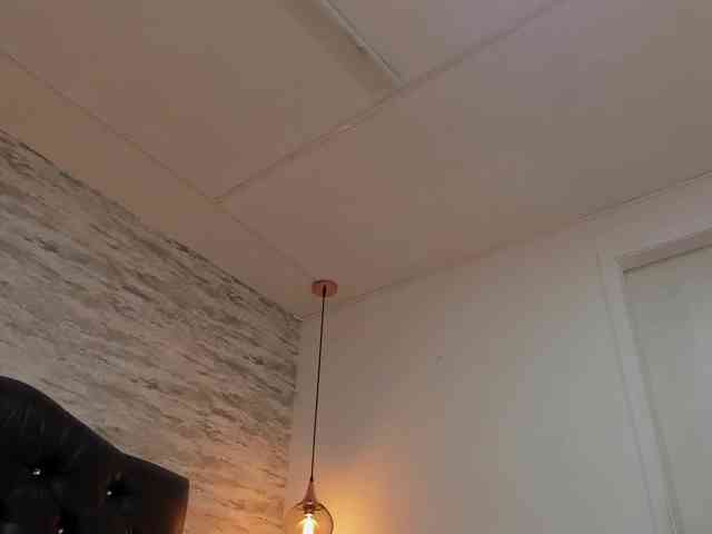 exotical-baby webcam