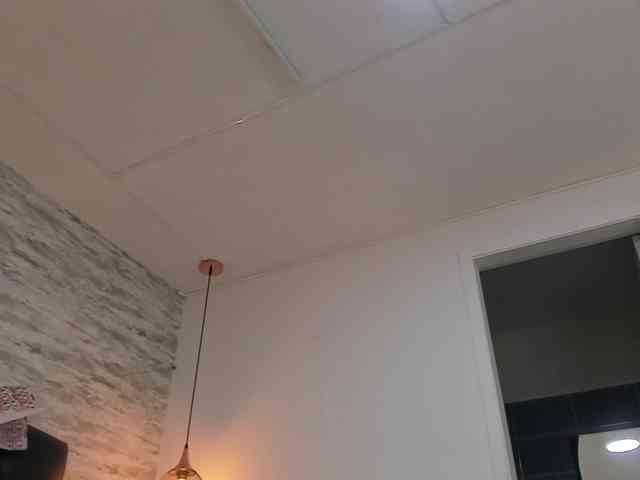 exotical-baby's live room