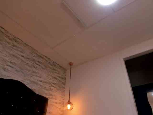 exotical-baby webcam