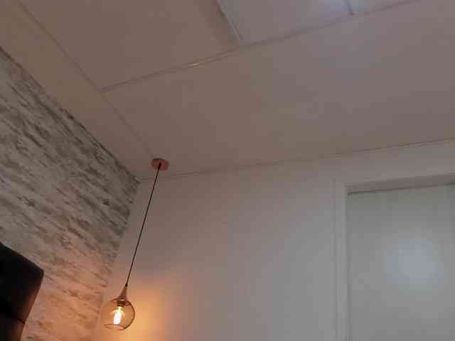 exotical-baby webcam