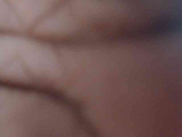 RACHELL-HOT webcam