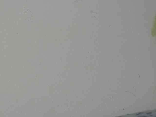 RACHELL-HOT webcam