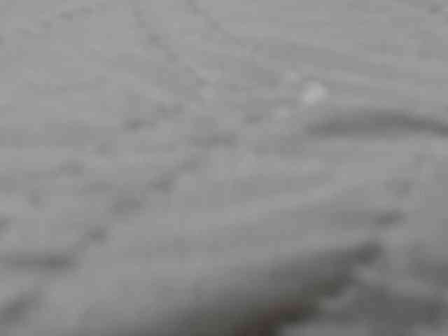 RACHELL-HOT webcam