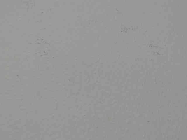 RACHELL-HOT webcam