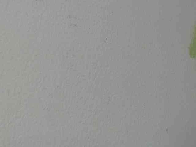 RACHELL-HOT webcam