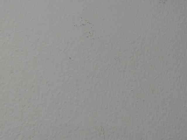 RACHELL-HOT webcam