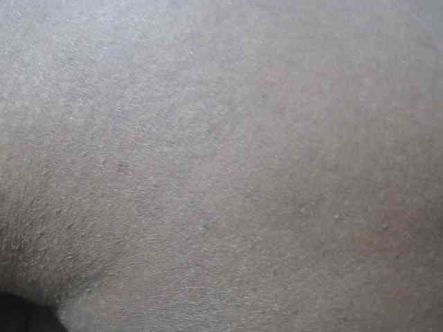 RACHELL-HOT webcam