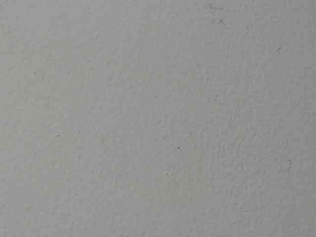 RACHELL-HOT webcam