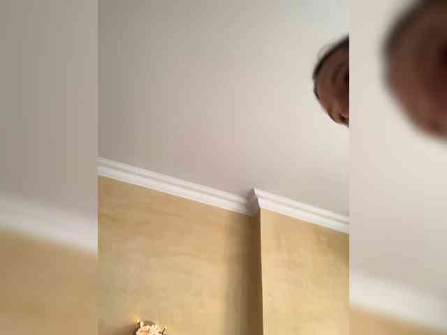 BunnyForce webcam