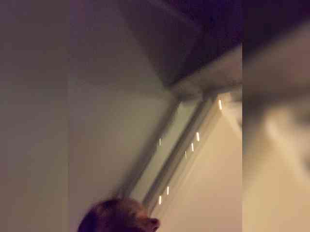 BunnyForce webcam