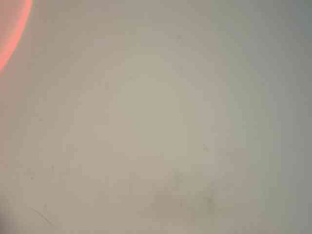 DariaMalkova webcam