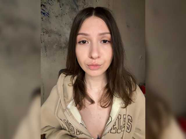 Diebog