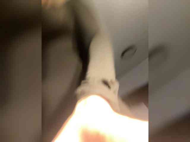 VladaMais webcam
