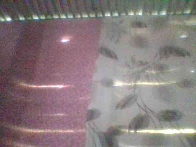 Monicaxa webcam