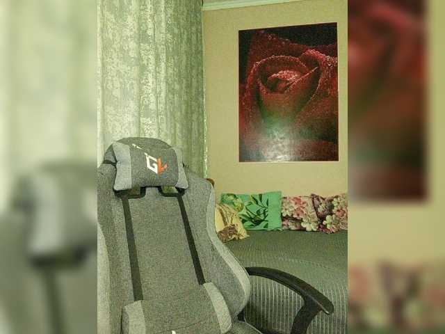 LediiFox live cam preview