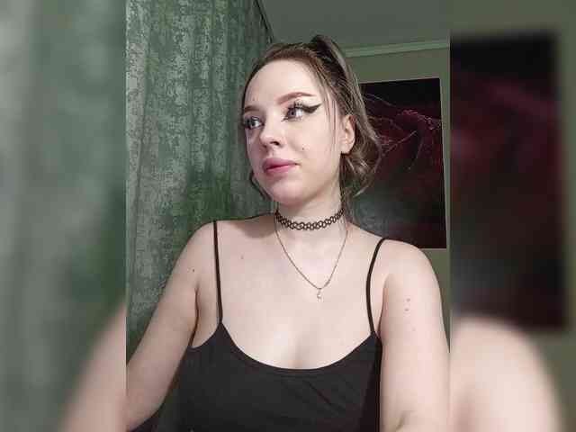LediiFox webcam