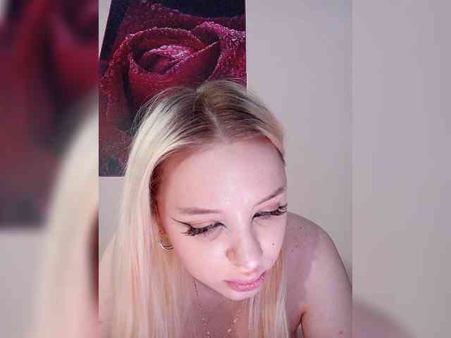 LediiFox webcam