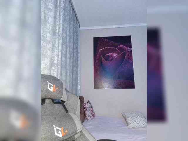 LediiFox webcam