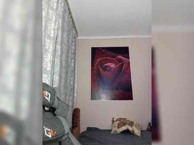 LediiFox webcam