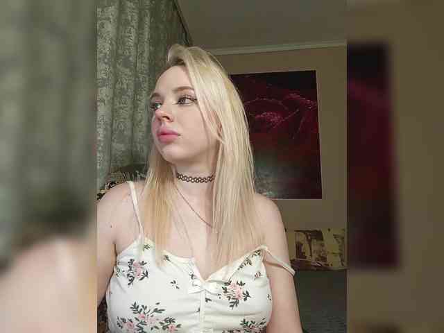 LediiFox webcam