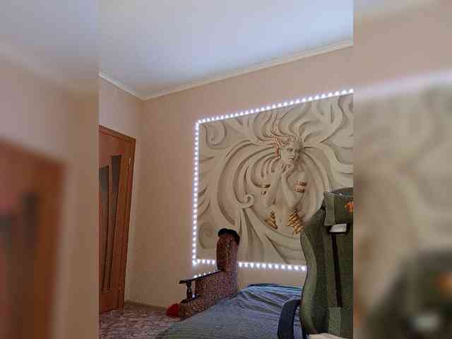 LediiFox webcam