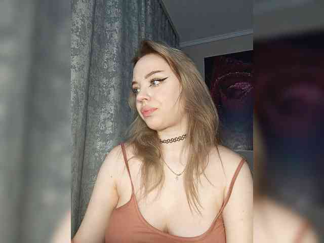 LediiFox webcam