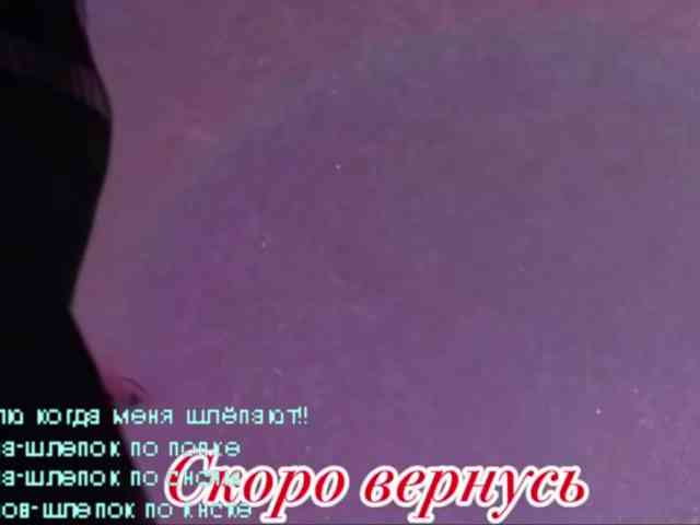 LediiFox webcam