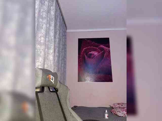 LediiFox webcam