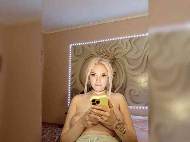 LediiFox webcam