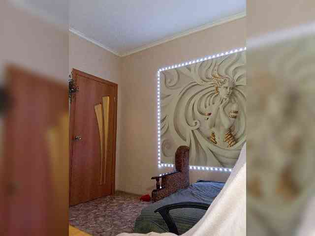 LediiFox webcam