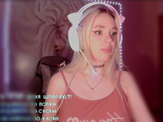 LediiFox webcam