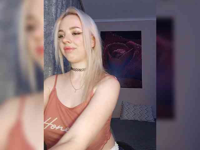 LediiFox webcam