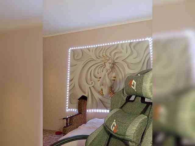 LediiFox webcam