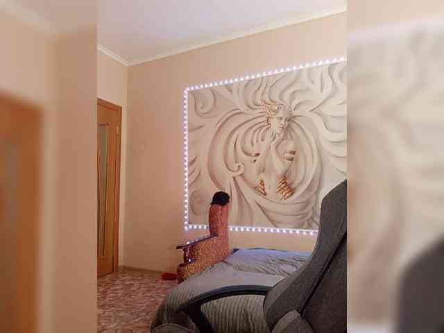 LediiFox webcam
