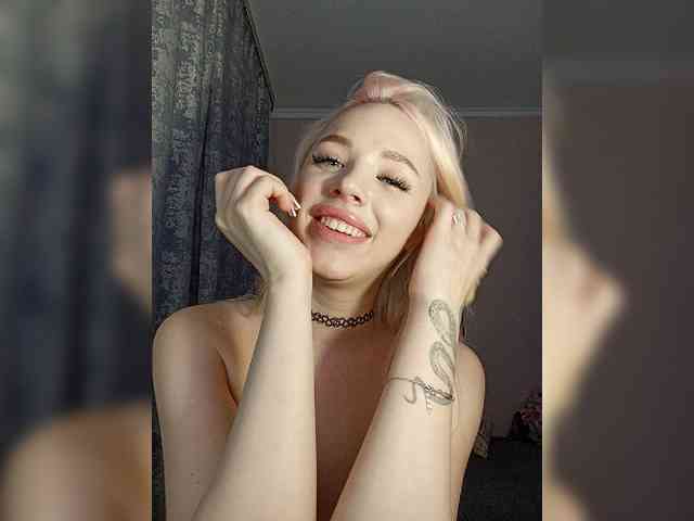 LediiFox webcam