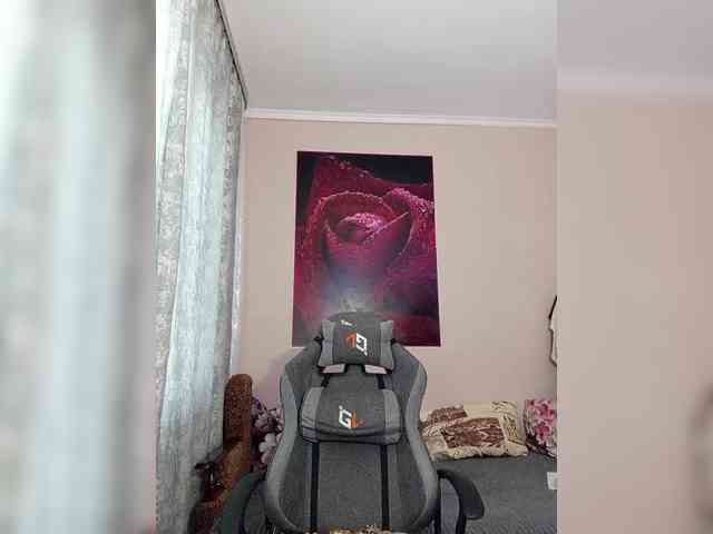 LediiFox webcam
