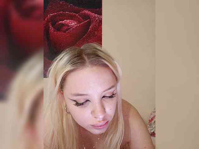 LediiFox webcam
