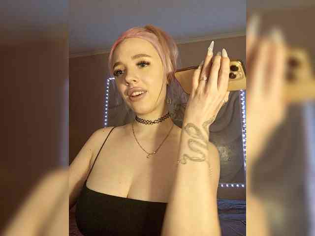 LediiFox webcam
