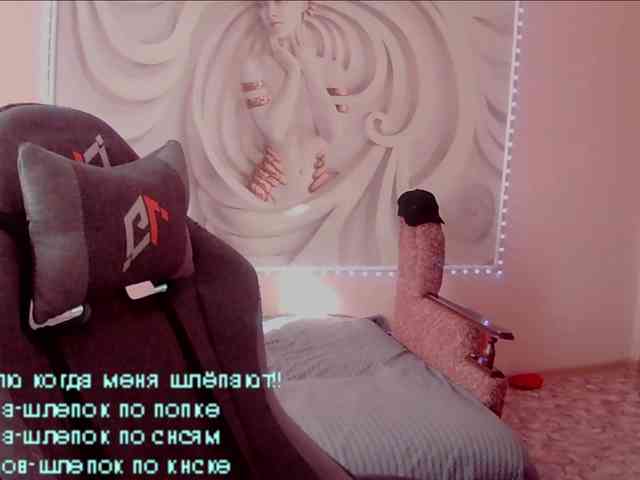 LediiFox webcam