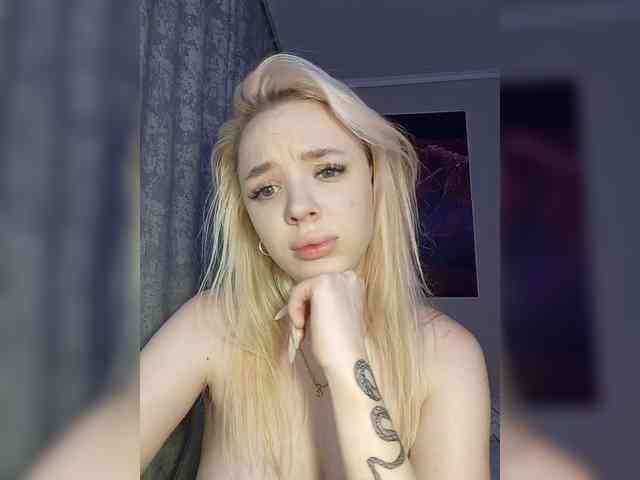 LediiFox webcam