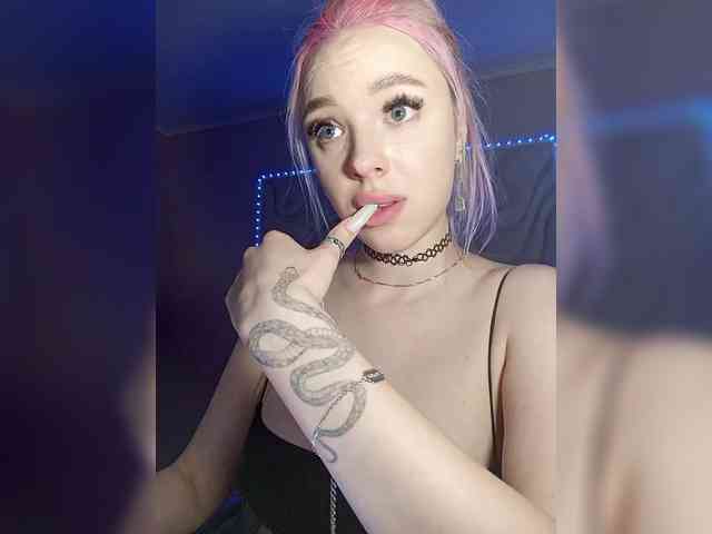 LediiFox webcam