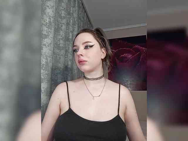 LediiFox webcam