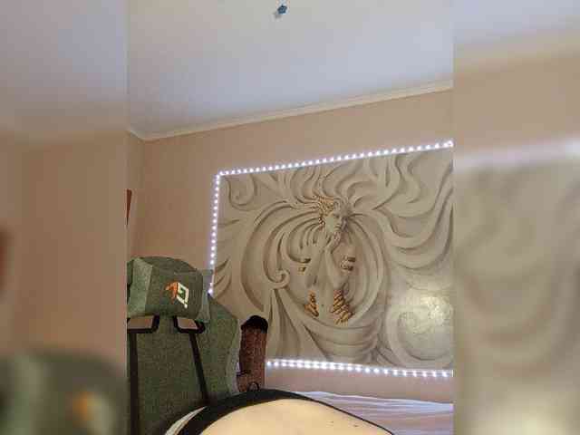 LediiFox webcam