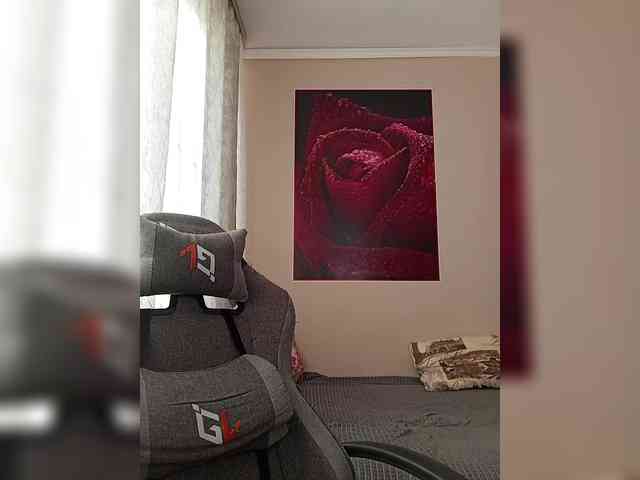 LediiFox webcam