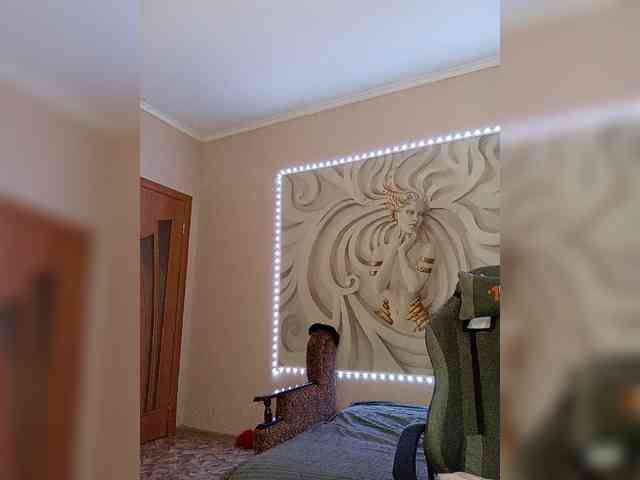 LediiFox webcam