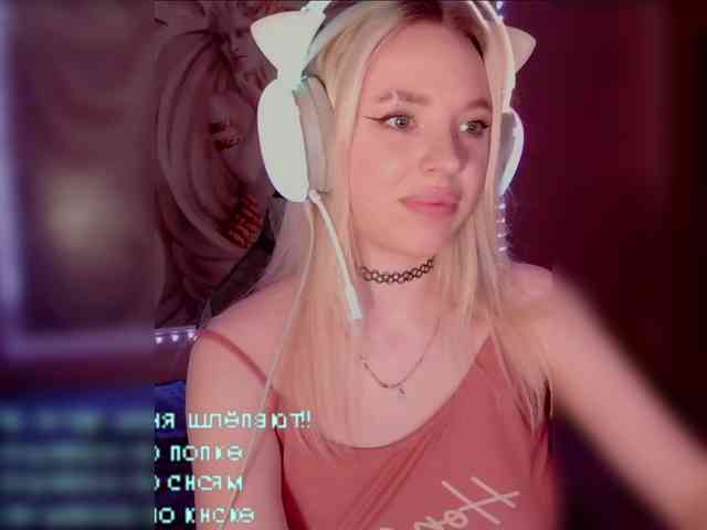 LediiFox webcam