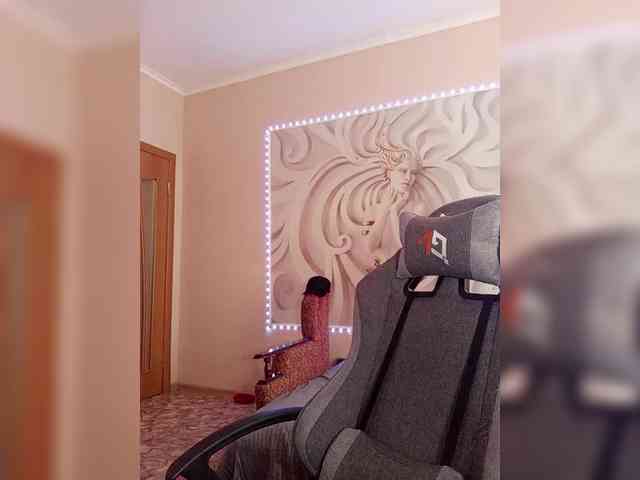 LediiFox webcam