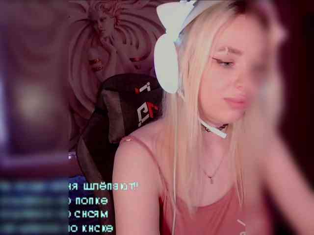 LediiFox webcam
