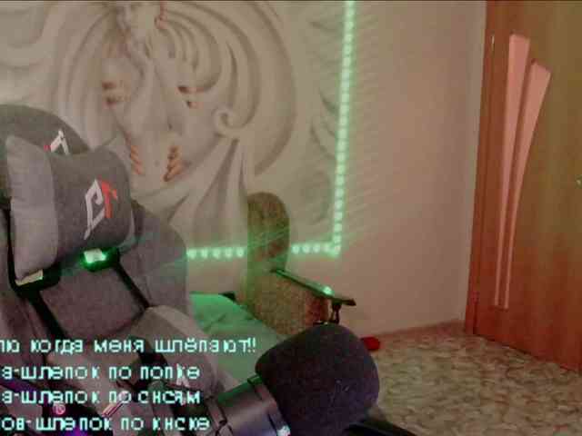 LediiFox webcam