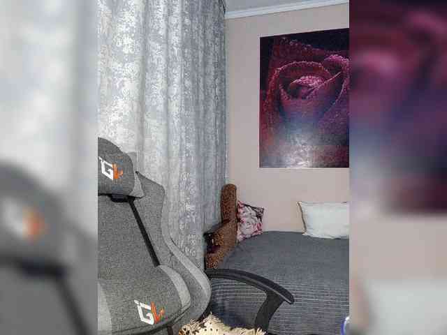 LediiFox webcam